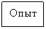 �������: ����