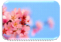 F:\�����\q759942X.jpg