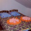 letnii_pansionat__solnecshny4_b