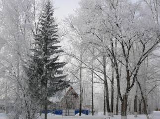 P1150713.JPG