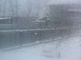 P1150075.JPG