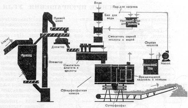 http://www.childrenpedia.org/5/12.files/image081.jpg