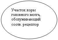 ����: