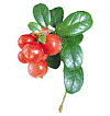 http://*****/image.ashx?mode=image&maxwidth=400&maxheight=400&id=9708