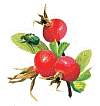 http://*****/image.ashx?mode=image&maxwidth=400&maxheight=400&id=9709