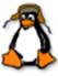 I:\IIKT8\Значки программ\Linux.png