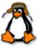 I:\IIKT8\Значки программ\Linux.png