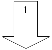 ������� ����: 1