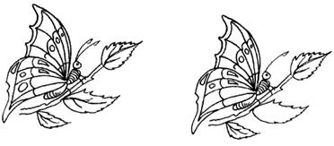 img3.gif (8520 bytes)