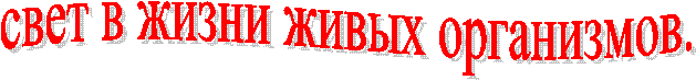 свет в жизни живых организмов.