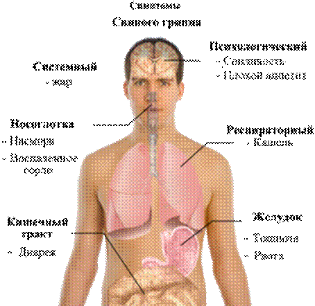 http://upload.wikimedia.org/wikipedia/commons/thumb/2/28/*****.png/*****.png