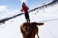 http://*****/xs/countries/finland/img/ruka/3.jpg