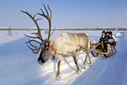 http://*****/xs/countries/finland/img/rovaniemi/3.jpg