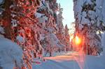 http://*****/xs/countries/finland/img/levi/16.jpg