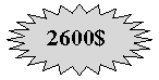 24-�������� ������: 2600$
