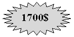 24-�������� ������: 1700$