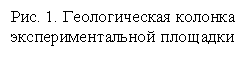 �������: