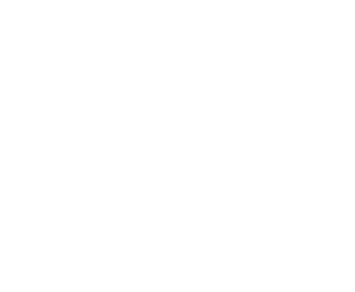 �������: