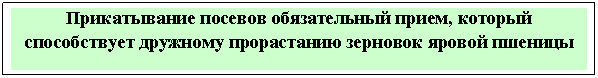 �������: