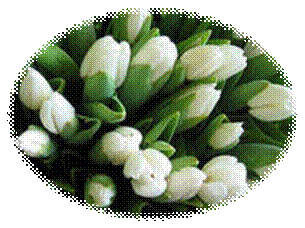 http://im2-tub-ru.yandex.net/i?id=1-72&n=21