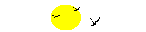 H:\Documents and Settings\Aida\������� ����\����� ������� �������\�������� �������_ ��������\__SUN2.gif