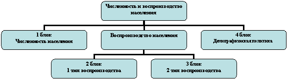 Организационная диаграмма