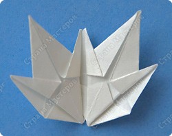 http://*****/files/imagecache/orig_with_logo2/images/techno/paper/snowdrop/PICT7687.jpg