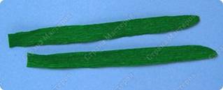 http://*****/files/imagecache/orig_with_logo2/images/techno/paper/snowdrop/PICT7699.jpg