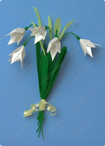 http://*****/files/imagecache/orig_with_logo2/images/techno/paper/snowdrop/PICT7700.jpg