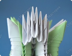 http://*****/files/imagecache/orig_with_logo2/images/techno/paper/snowdrop/PICT77281.jpg