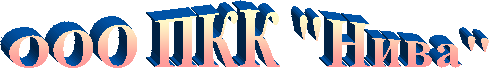  "����"