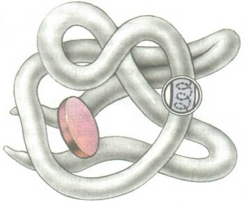 Image"