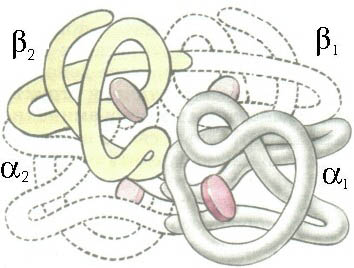 Image"