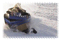 x_825c67f1.jpg