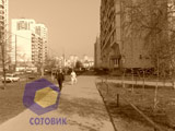 ������ Nokia N80