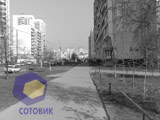 ������ Nokia N80