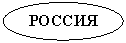 ����: ������