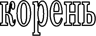 корень