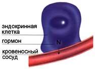 Гормональная
