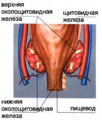 Расположение