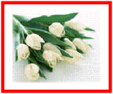 D:\Documents and Settings\������.USER100\������� ����\����� ���� �� ���� 2009�\image001.gif