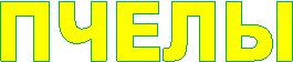  �����