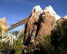 animal kingdom.jpeg
