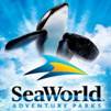 sea world.jpeg