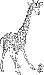 2.gif