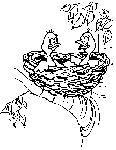 5.gif