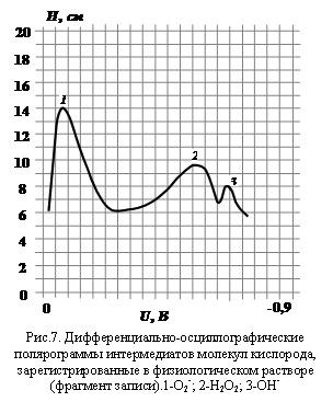 Подпись: