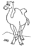 15.gif