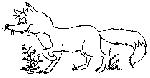 39.gif