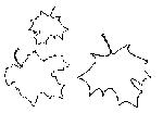 41.gif
